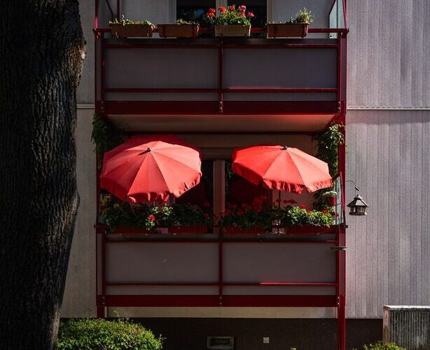 Najciekawsze odmiany pomidorów na balkon i działkę